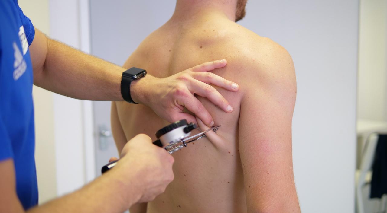 Resting Metabolic Rate & Body Composition